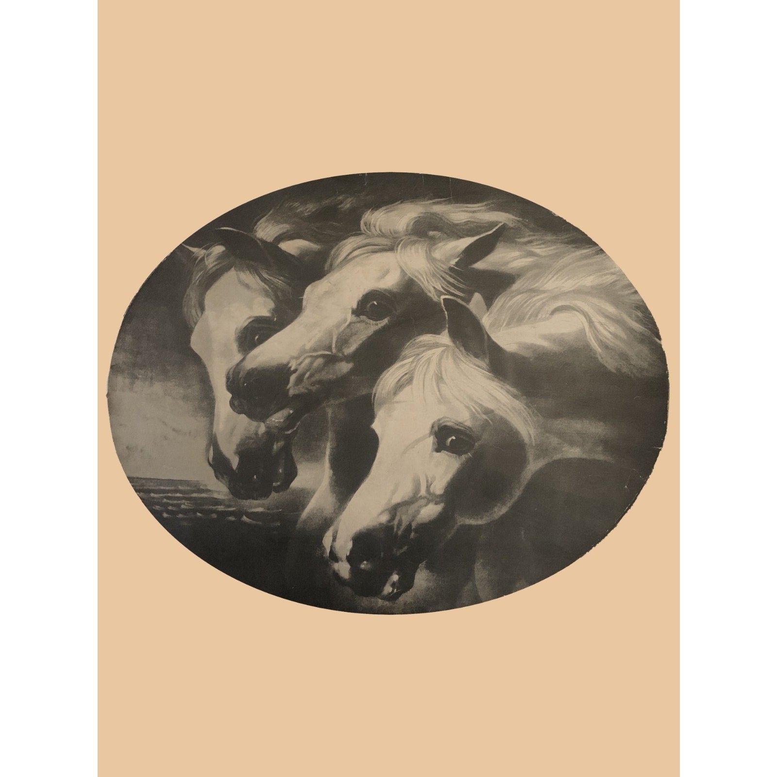 Large Oval B/W Print of "Pharoah's Chariot Horses" by John Frederick Herron