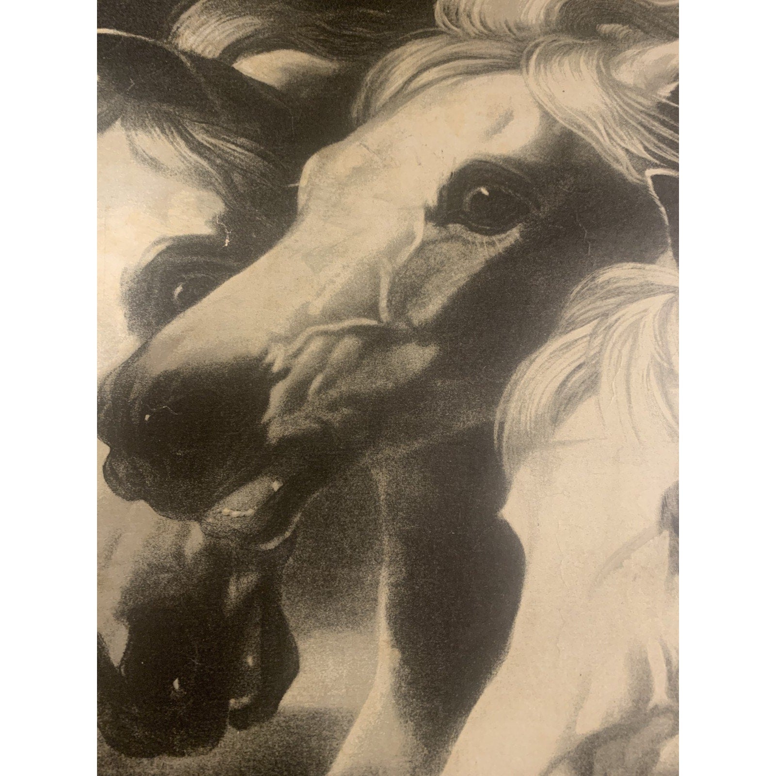Large Oval B/W Print of "Pharoah's Chariot Horses" by John Frederick Herron