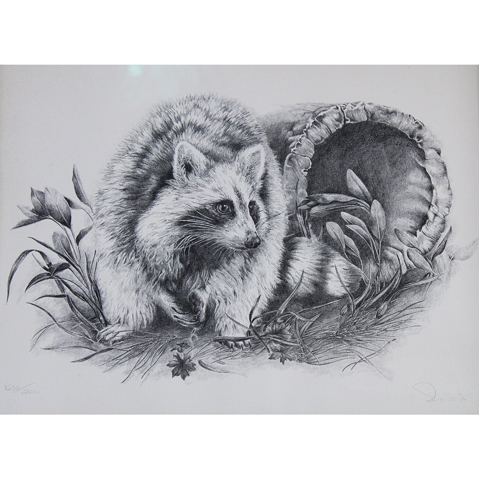 Signed and Numbered Artist Proof Print Matted and Framed Featuring a Raccoon