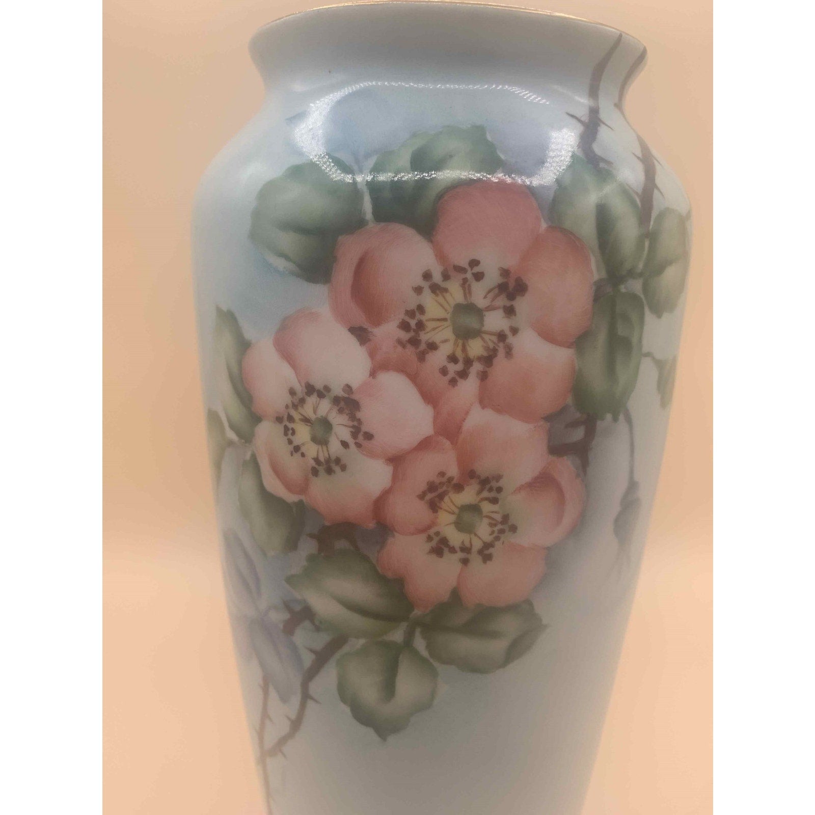 Antique C.T. Carl Tielsch Altwasser Silesia Hand Painted Floral Vase 1900s