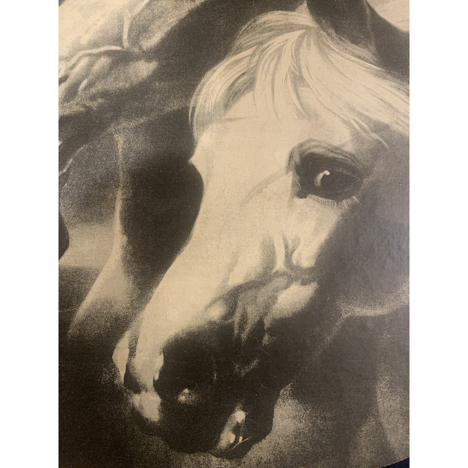 Large Oval B/W Print of "Pharoah's Chariot Horses" by John Frederick Herron