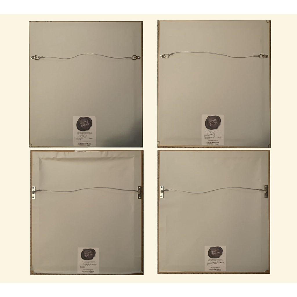 Grouping of Four Vintage Hummingbird Prints based on 1820 Audubon Illustrations