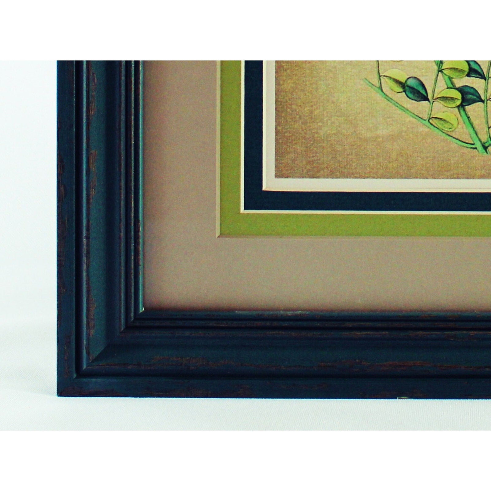 Grouping of Four Vintage Hummingbird Prints based on 1820 Audubon Illustrations